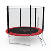 Батут с сеткой DFC PELPO 10ft с лестницей, RED preview 6