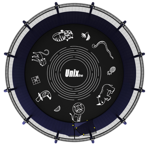 Фото 11 Фото 11